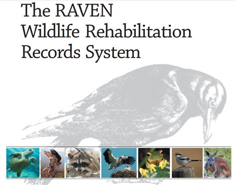 RAVEN - International Wildlife Rehabilitation Council