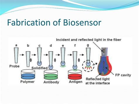 PPT - Fabrication of Biosensors and Lab Testings III PowerPoint Presentation - ID:4645928