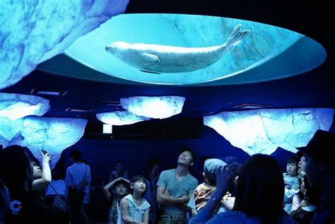 Osaka Aquarium KAIYUKAN. | ＠海遊館 | MIKI Yoshihito | Flickr