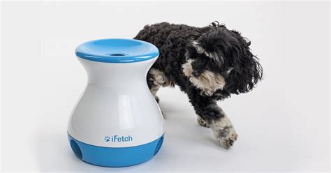 20 Interactive Dog Toys to Keep Your Pup Busy and Engaged - PureWow