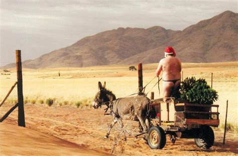 Christmas is in summer in southern Africa! | Christmas in south africa, African christmas ...