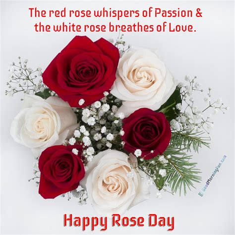 Happy Rose Day 2024 Quotes & Status - Good Morning Fun