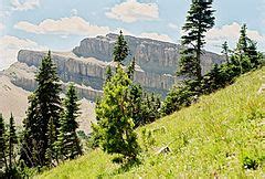 Category:Lewis and Clark National Forest - Wikimedia Commons