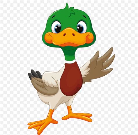 Duck Vector Graphics Royalty-free Stock Illustration, PNG, 804x804px, Duck, Animation, Beak ...