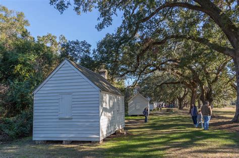 Charleston Daily Photo: McLeod Plantation