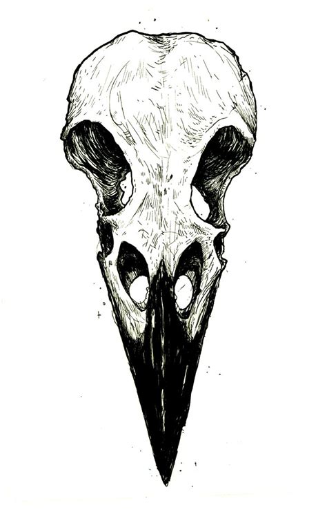 Image result for raven skull | Skull drawing, Skulls drawing, Animal skull drawing