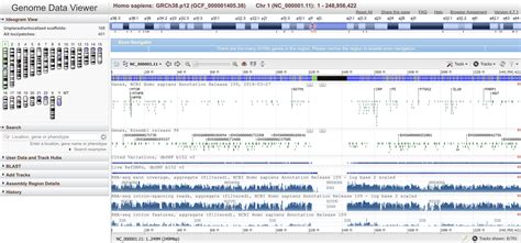 NCBI Genome Viewer · GenoCat.tools