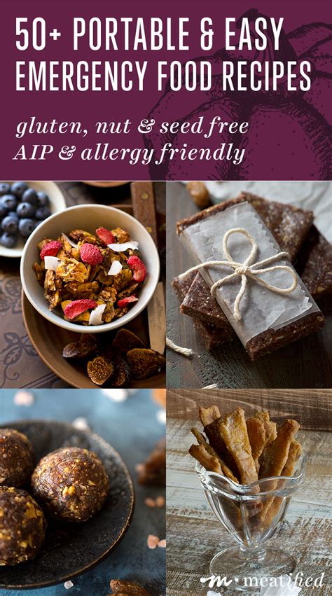 50+ Portable & Easy AIP Emergency Food Recipes - meatified