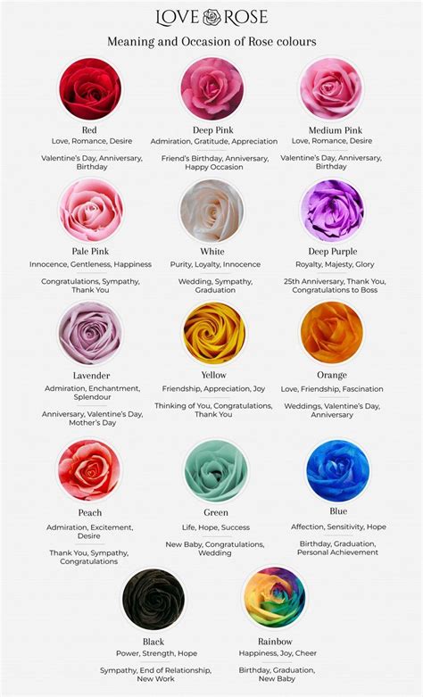 Rose Colour Meaning Guide [+Chart for Download] | Rose color meanings ...