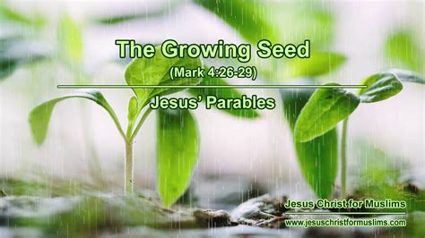 The Growing Seed | Mark 4:26-29 | Parables of Jesus - YouTube