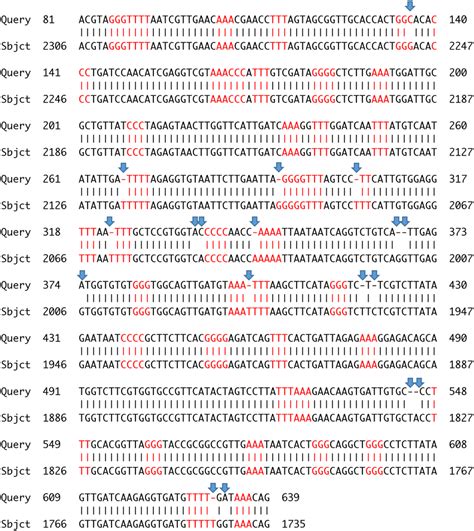 NCBI BLAST search of the assembled sequence of Arthroleptis... | Download Scientific Diagram