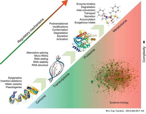 Proteomics and Metabolomics for Mechanistic Insights and Biomarker ...