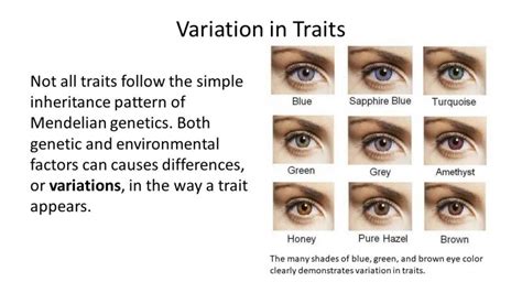 ESSENTIAL KNOWLEDGE: VARIATION IN TRAITS - PEER Program (Youth STEM Promotion)