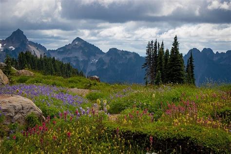 14 Epic Weekend Getaways in Washington State (2024)