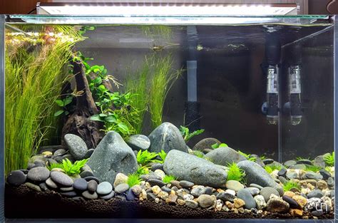 New 45U River Rock Tank : PlantedTank