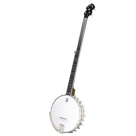 Best Banjo for Folk Music