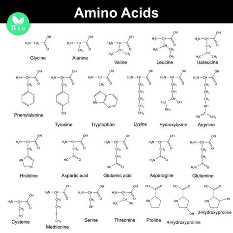 Why Are Most Organic Compounds Colorless/White? » ScienceABC