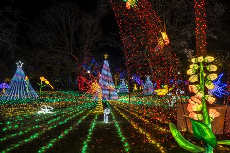 ZooLights, a Holiday Staple in Chicago, Returns to Lincoln Park Zoo for 29th Year With New ...