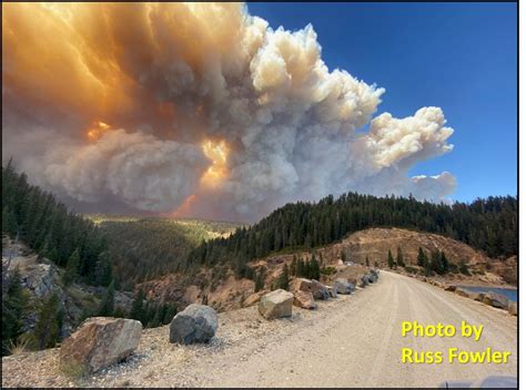 Wildfire in California Landscapes