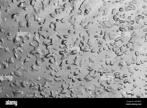 Closeup of frosted glass texture Stock Photo - Alamy