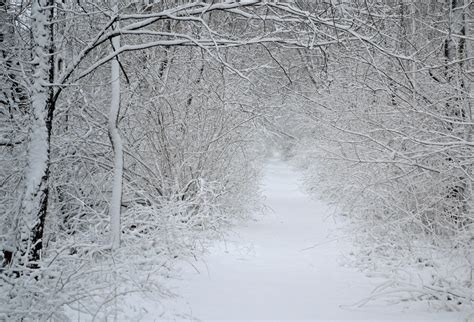 Fond d'écran : tempête de neige, février, chemin, hiver, blanc, Railstotrails 4272x2904 ...