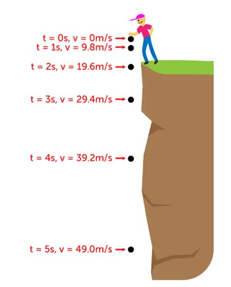 Freefall in physics