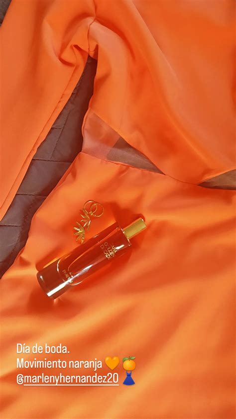 Golden Decade Zara perfume - a fragrância Feminino 2021