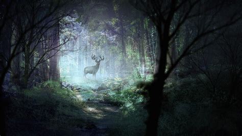 wallpaper deer, forest, light, art, wildlife HD : Widescreen : High Definition : Fullscreen