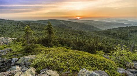 The 5 most beautiful national parks in Germany