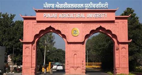 Punjab Agricultural University 2023 Admission, Exam Date, Syllabus