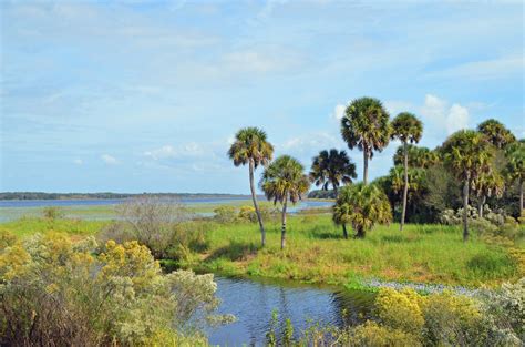 Myakka River State Park - Experience the Canopy Walk