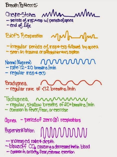 Truth About Nursing School : Breath Patterns