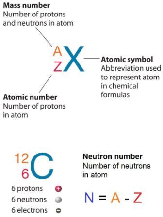 Neutron Number | Definition & Characteristics | nuclear-power.com