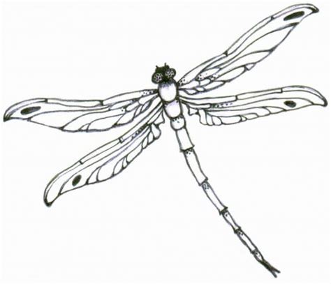 Dragonfly Tattoo Designs - The Body is a Canvas