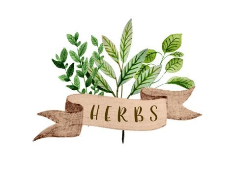 Herbs Clipart, Watercolor Herbs Clipart, Watercolor Botanicals Clipart, Gardening Clipart ...