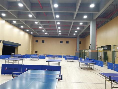 Table Tennis Court Lighting Design - TACHYON Light