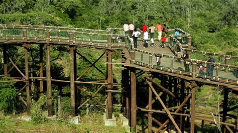 NAIROBI SAFARI WALK - Lead Tours