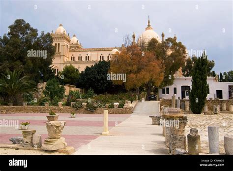 Ruins of Carthage, Tunisia Stock Photo - Alamy