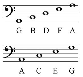 What Is The Acronym For The Bass Clef Notes | Bass Clef Notes