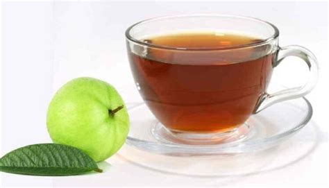 Incredible Benefits Of Guava Leaf Tea - Pragativadi