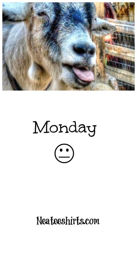 Mondays. Yea they feel like this goat! Don't let Mondays get YOUR goat ...