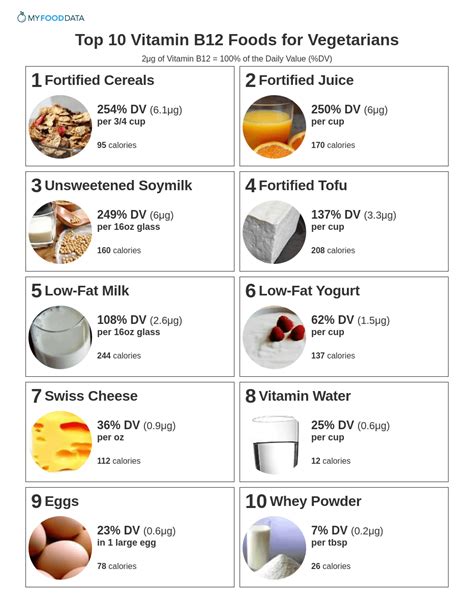 Top 10 Vitamin B12 Foods for Vegetarians