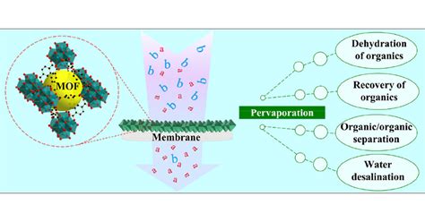 Polycrystalline Metal–Organic Framework Membranes for Pervaporation | Industrial & Engineering ...