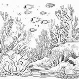 Marine Coloring Pages  Free & Printable sketch template