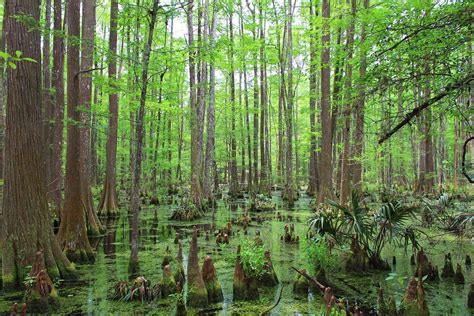 Texas National Parks | Nature Lover's Paradise - Travels Universe