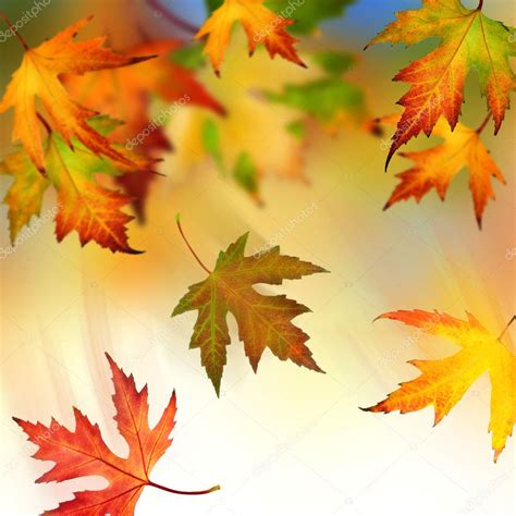 Autumn Leaves Falling | Mega Wallpapers