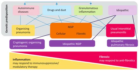 Interstitial Lung Disease in the ED: “I think I’ve got the Black Lung Pop” - EMOttawa Blog