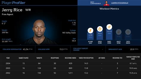 Jerry Rice Stats & Fantasy Ranking - PlayerProfiler