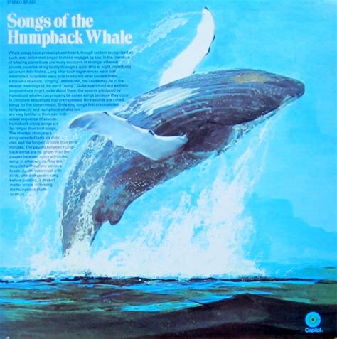 Amazon.com: Songs Of The Humpback Whale: CDs & Vinyl