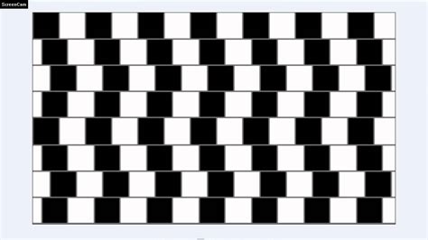 Horizontal Lines Optical Illusion : Black And White Lines Optical Illusion Horizontal ... : What ...